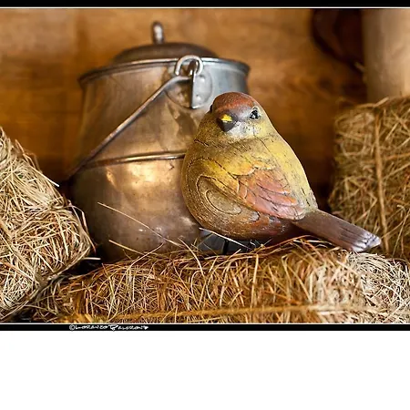 מלון La Jolie Bergere