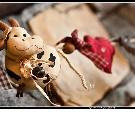 La Jolie Bergere לה סאלה