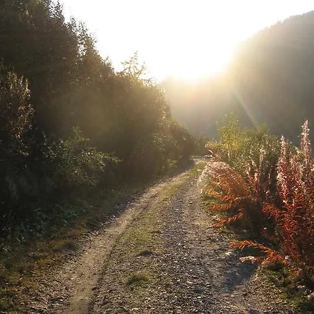 La Jolie Bergere