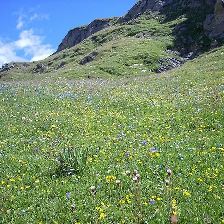 La Jolie Bergere