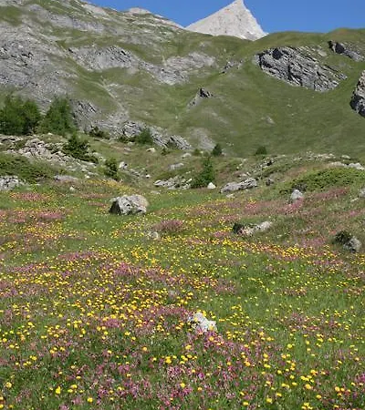فندق La Jolie Bergere