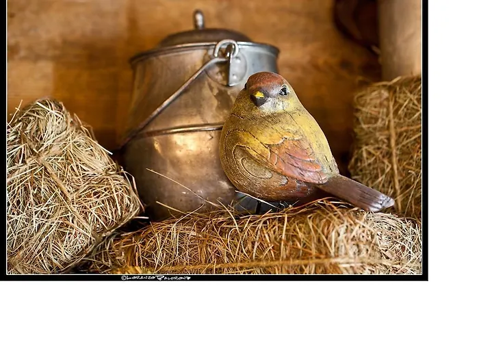 Hotel La Jolie Bergere