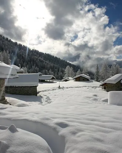 Hotel La Jolie Bergere 3*