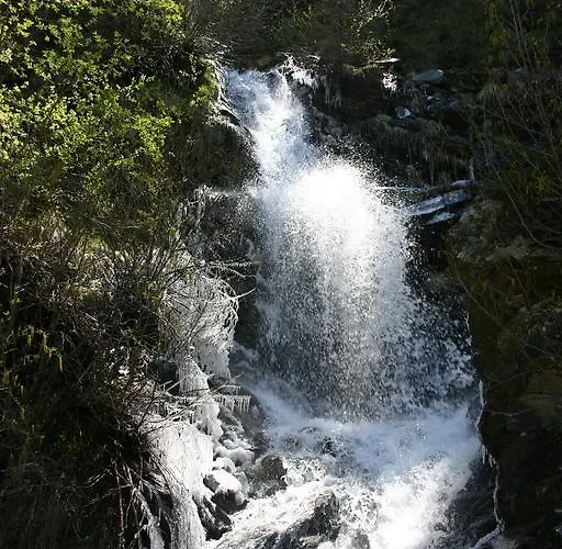 La Jolie Bergere La Salle