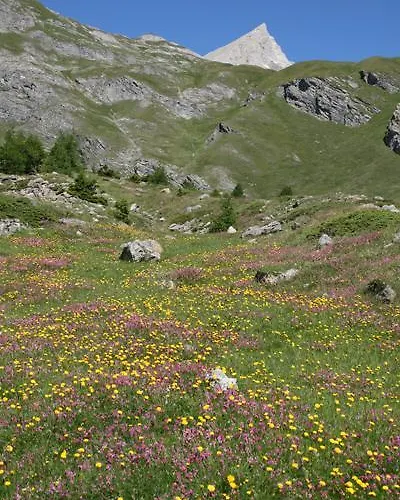 Hotel La Jolie Bergere