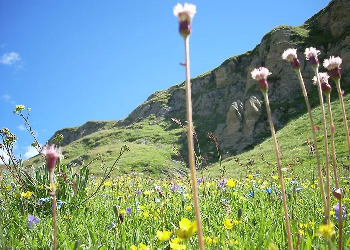 Hotel La Jolie Bergere La Salle