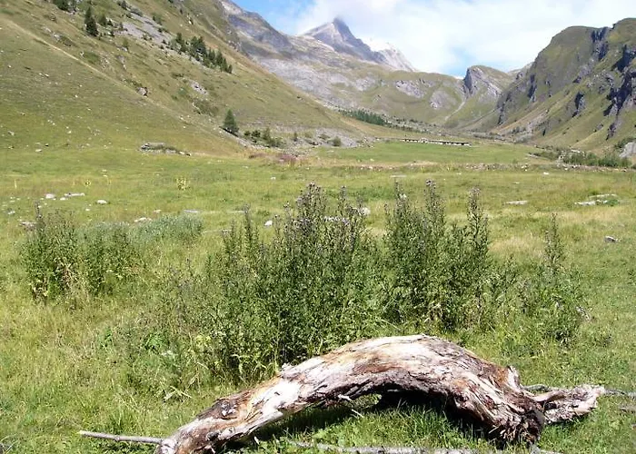 La Jolie Bergere La Salle