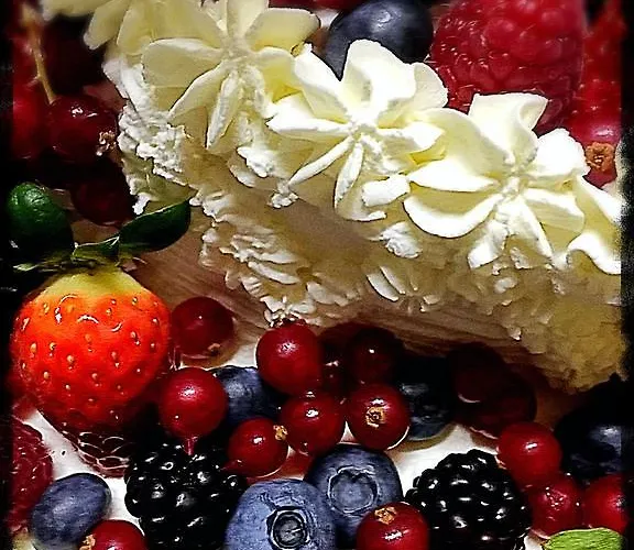 Hotel La Jolie Bergere La Salle